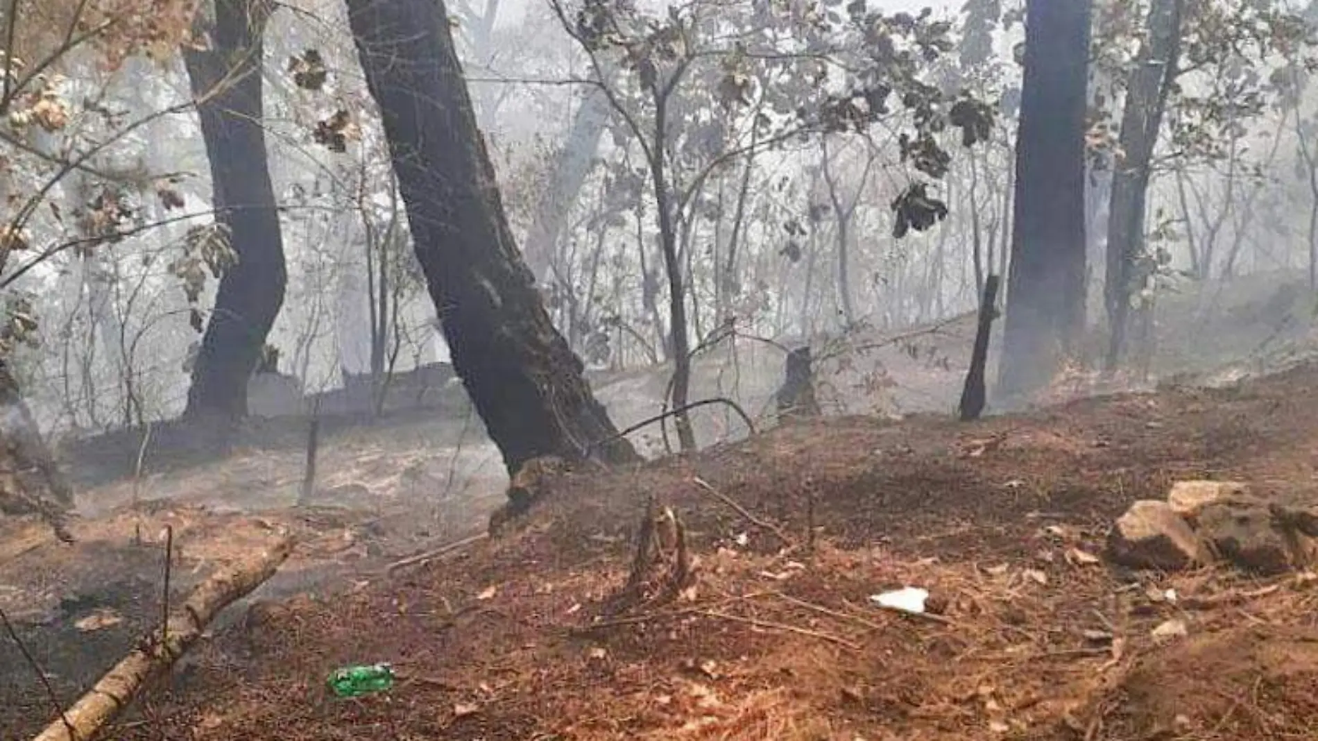 incendio forestal